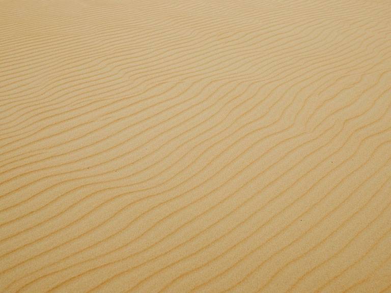 Epoxy Flooring vs Grass/Sand